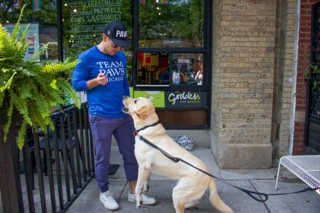 Paws for Pours Fundraiser at The Goddess and Grocer, February 29th