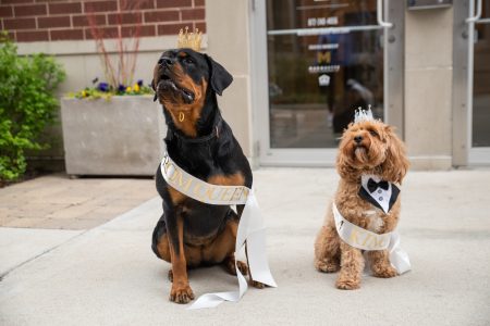 etta River North Hosts Puppy Patio Prom, May 16th