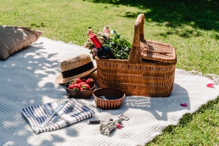 Forester Hotel Adds New F&B Summer Picnic Package for Guests