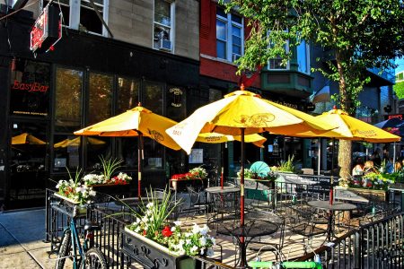 Dog-Friendly Patios in Chicago