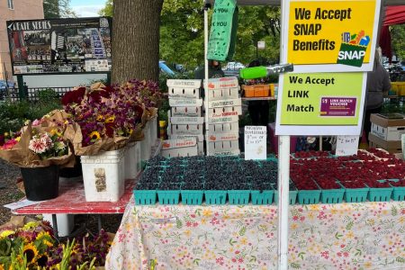 Wicker Park Farmers Market Launches New Tuesday Night Market