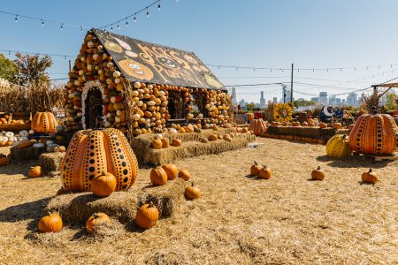 Jack’s Pumpkin Pop-Up Is Back for its 5th Anniversary