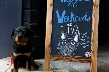 LIVA at Chicago Winery Now Offers “Paw-Not Noir” on Menu