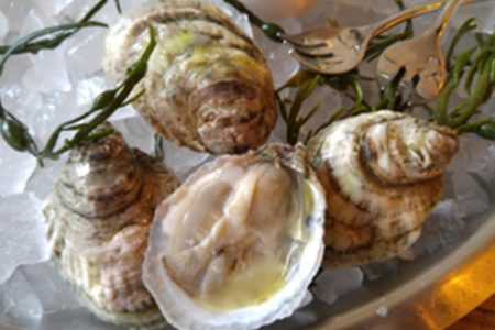 The Dearborn to Celebrate Galway International Oyster Fest