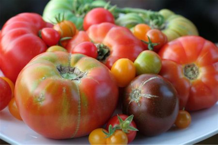 Nico Osteria Celebrates Tomato Season with Special Dinner Menu