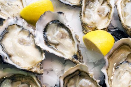 Tribes Beer Company Hosts Oyster Fest at Mokena